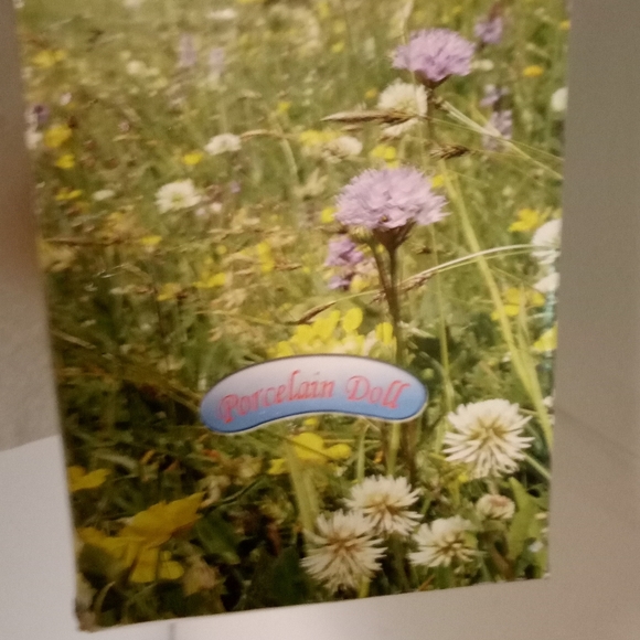 Vintage GERMAN Fine Porcelain 8" Doll Collection Excellent Pre-owned NIB - Picture 2 of 5